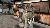 杵築神社の狛犬