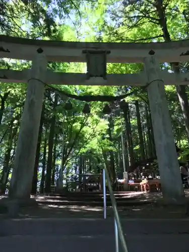 宝登山神社奥宮の鳥居