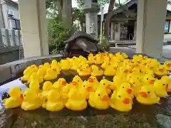 杉杜白髭神社の手水