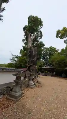 日吉神社(京都府)