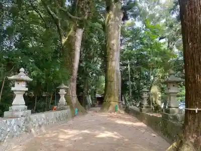 飛鳥神社の{uncategorized: "未分類", other: "その他", undefined: "問題あり", building: "その他建物", grave: "お墓", sacred_gate: "鳥居", guardian: "狛犬", statue: "像", buddha: "仏像", history: "歴史", nature: "自然", garden: "庭園", animal: "動物", pagoda: "塔", temizu: "手水舎", mountain_gate: "山門・神門", sanctuary: "本殿・本堂", subordinate: "末社・摂社", art: "芸術", scenery: "景色", jizo: "地蔵", ema: "絵馬", goshuin: "御朱印", omikuji: "おみくじ", items: "授与品その他", amulet: "お守り", goshuincho: "御朱印帳", eats: "食事", festival: "お祭り", votive_dance: "神楽", shichigosan: "七五三参", wedding: "結婚式", experience: "体験その他", initially: "初詣", around: "周辺", anti_infection: "感染症対策"}