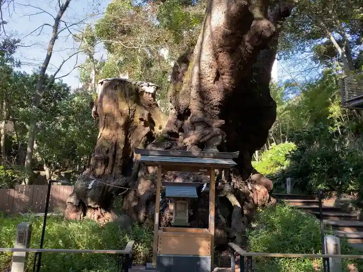 來宮神社(静岡県)