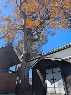 達屋酢蔵神社(長野県)