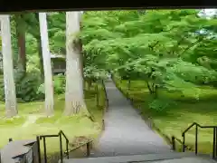 三千院門跡の庭園