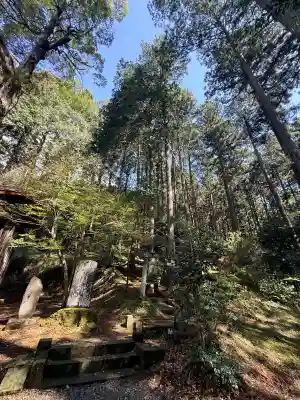 日光大室高龗神社の{uncategorized: "未分類", other: "その他", undefined: "問題あり", building: "その他建物", grave: "お墓", sacred_gate: "鳥居", guardian: "狛犬", statue: "像", buddha: "仏像", history: "歴史", nature: "自然", garden: "庭園", animal: "動物", pagoda: "塔", temizu: "手水舎", mountain_gate: "山門・神門", sanctuary: "本殿・本堂", subordinate: "末社・摂社", art: "芸術", scenery: "景色", jizo: "地蔵", ema: "絵馬", goshuin: "御朱印", omikuji: "おみくじ", items: "授与品その他", amulet: "お守り", goshuincho: "御朱印帳", eats: "食事", festival: "お祭り", votive_dance: "神楽", shichigosan: "七五三参", wedding: "結婚式", experience: "体験その他", initially: "初詣", around: "周辺", anti_infection: "感染症対策"}
