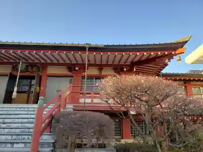 福寿院の本殿・本堂