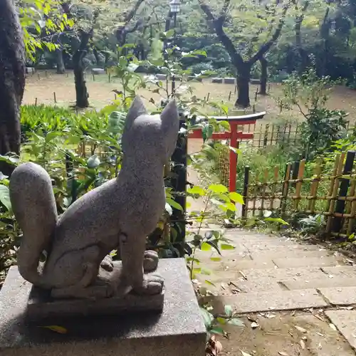 円山随身稲荷大明神の狛犬