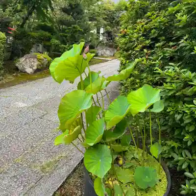 伊勢の国 四天王寺(三重県)