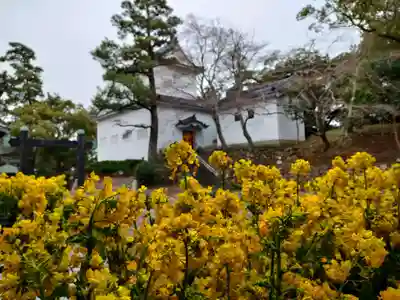 巴江神社の自然