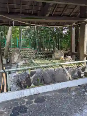椿大神社の手水舎