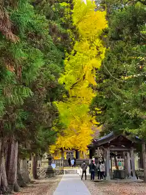 新宮熊野神社(福島県)