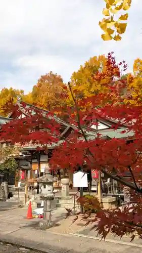 松ヶ崎大黒天 妙圓寺（妙円寺）(京都府)