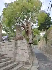 五宮神社(兵庫県)