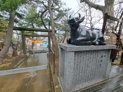 手稲神社の狛犬