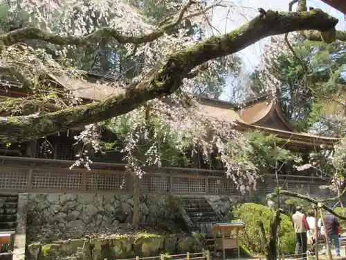 吉野水分神社の本殿