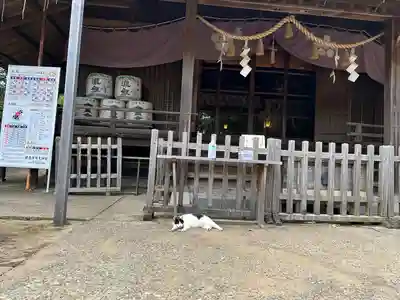 鎌数伊勢大神宮(千葉県)