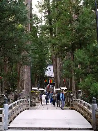 高野山金剛峯寺奥の院の{uncategorized: "未分類", other: "その他", undefined: "問題あり", building: "その他建物", grave: "お墓", sacred_gate: "鳥居", guardian: "狛犬", statue: "像", buddha: "仏像", history: "歴史", nature: "自然", garden: "庭園", animal: "動物", pagoda: "塔", temizu: "手水舎", mountain_gate: "山門・神門", sanctuary: "本殿・本堂", subordinate: "末社・摂社", art: "芸術", scenery: "景色", jizo: "地蔵", ema: "絵馬", goshuin: "御朱印", omikuji: "おみくじ", items: "授与品その他", amulet: "お守り", goshuincho: "御朱印帳", eats: "食事", festival: "お祭り", votive_dance: "神楽", shichigosan: "七五三参", wedding: "結婚式", experience: "体験その他", initially: "初詣", around: "周辺", anti_infection: "感染症対策"}