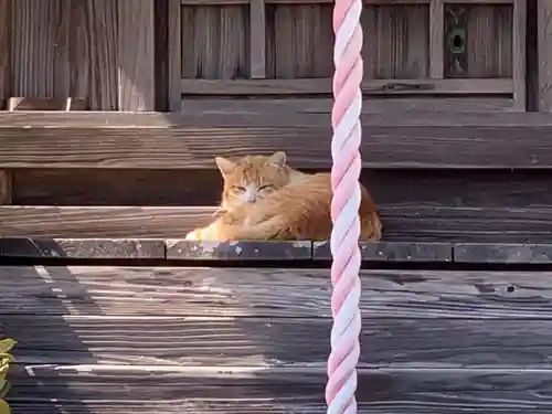 八坂神社の動物