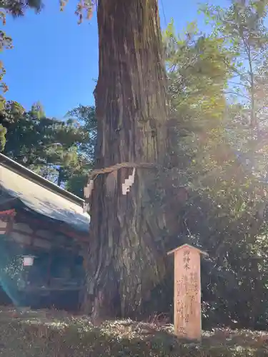 香取神宮の自然