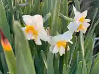 埼玉厄除け開運大師・龍泉寺(切り絵御朱印発祥の寺)の自然