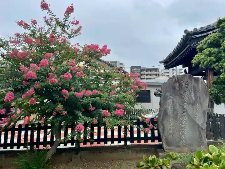 西音寺(東京都)