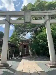 八雲神社(緑町)の鳥居