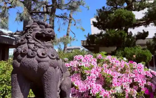 福井神社(福井県)