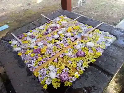 土津神社|こどもと出世の神さまの手水舎