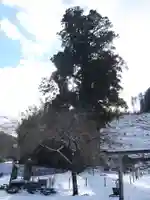 月瀬神社(長野県)