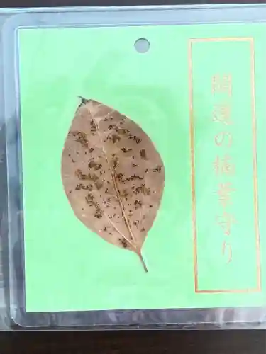 若一神社(京都府)