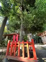 鏡石鹿嶋神社(福島県)