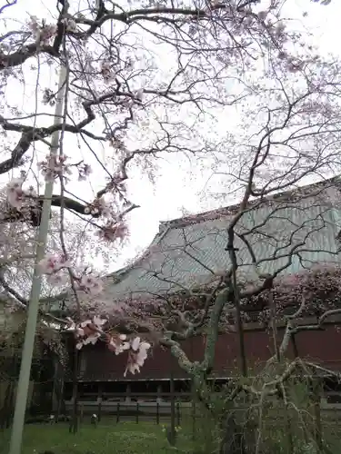 般若院(茨城県)