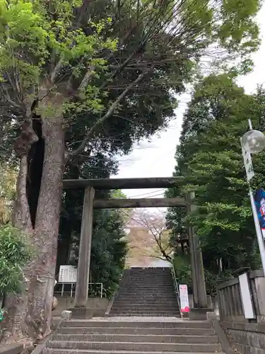 所澤神明社の鳥居