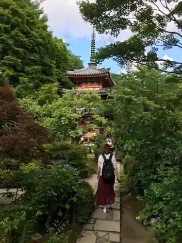 三室戸寺の建物その他