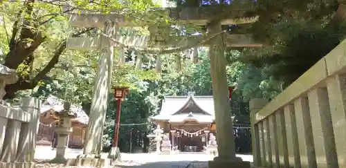 安房神社の鳥居