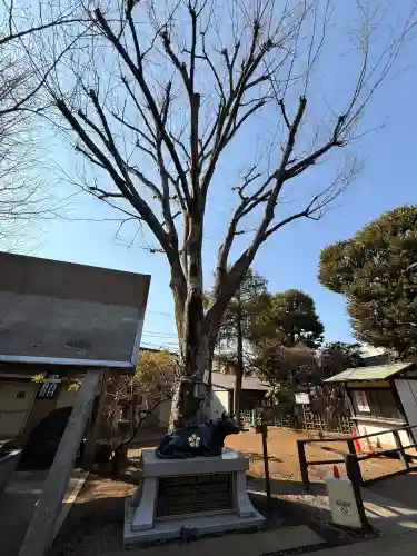 新井天神北野神社の{uncategorized: "未分類", other: "その他", undefined: "問題あり", building: "その他建物", grave: "お墓", sacred_gate: "鳥居", guardian: "狛犬", statue: "像", buddha: "仏像", history: "歴史", nature: "自然", garden: "庭園", animal: "動物", pagoda: "塔", temizu: "手水舎", mountain_gate: "山門・神門", sanctuary: "本殿・本堂", subordinate: "末社・摂社", art: "芸術", scenery: "景色", jizo: "地蔵", ema: "絵馬", goshuin: "御朱印", omikuji: "おみくじ", items: "授与品その他", amulet: "お守り", goshuincho: "御朱印帳", eats: "食事", festival: "お祭り", votive_dance: "神楽", shichigosan: "七五三参", wedding: "結婚式", experience: "体験その他", initially: "初詣", around: "周辺", anti_infection: "感染症対策"}