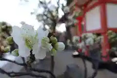 菅原天満宮（菅原神社）の自然