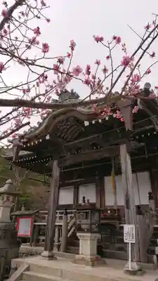 無動寺（延暦寺塔頭）の本殿・本堂