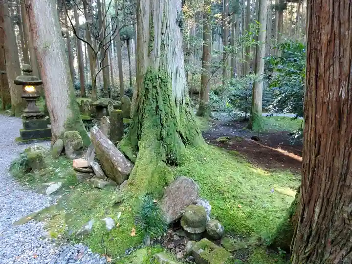 御岩神社の自然