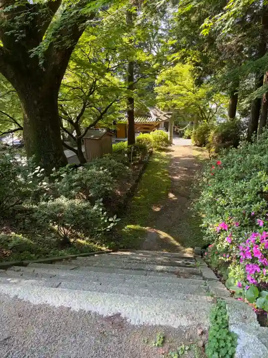 熊野神社の{uncategorized: "未分類", other: "その他", undefined: "問題あり", building: "その他建物", grave: "お墓", sacred_gate: "鳥居", guardian: "狛犬", statue: "像", buddha: "仏像", history: "歴史", nature: "自然", garden: "庭園", animal: "動物", pagoda: "塔", temizu: "手水舎", mountain_gate: "山門・神門", sanctuary: "本殿・本堂", subordinate: "末社・摂社", art: "芸術", scenery: "景色", jizo: "地蔵", ema: "絵馬", goshuin: "御朱印", omikuji: "おみくじ", items: "授与品その他", amulet: "お守り", goshuincho: "御朱印帳", eats: "食事", festival: "お祭り", votive_dance: "神楽", shichigosan: "七五三参", wedding: "結婚式", experience: "体験その他", initially: "初詣", around: "周辺", anti_infection: "感染症対策"}