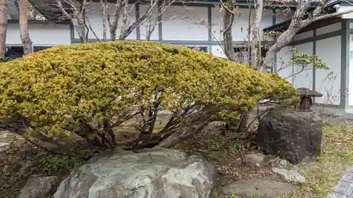 法華寺の庭園