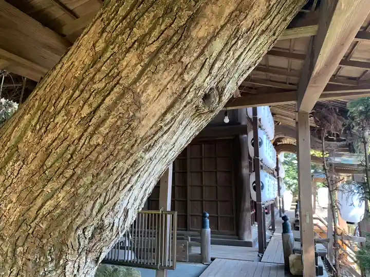大甕神社のその他建物