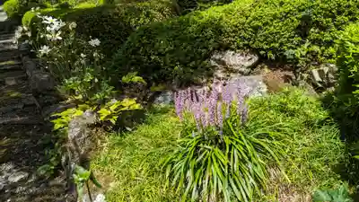 善峯寺(京都府)
