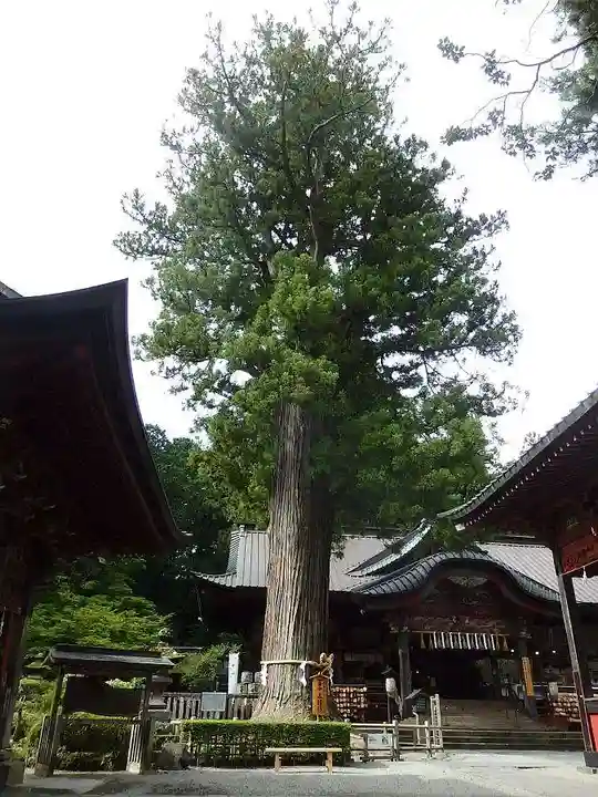 北口本宮冨士浅間神社(山梨県)