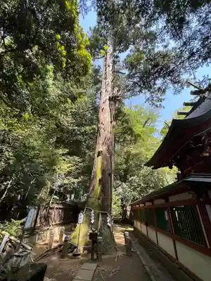 一言主神社(茨城県)