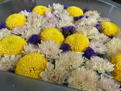 彌彦神社　(伊夜日子神社)の手水舎