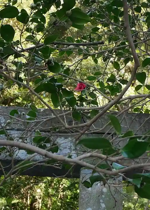 久能山東照宮のその他建物