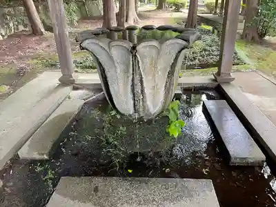 野田神社の手水舎