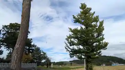 大國神社の景色