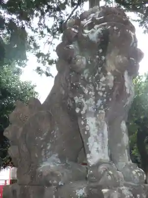 新日吉神宮の狛犬